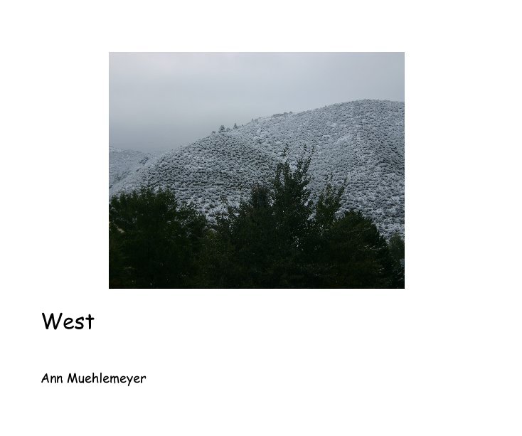 View West by Ann Muehlemeyer