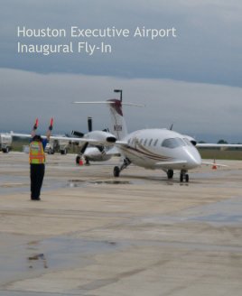 Houston Executive Airport book cover