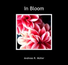 In Bloom book cover