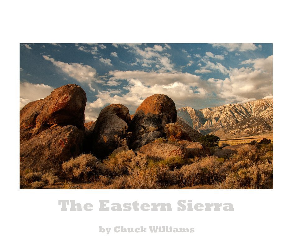 View The Eastern Sierra by Chuck Williams
