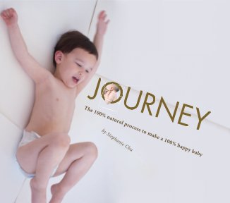 JOURNEY book cover