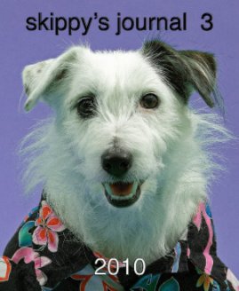 skippy's journal 3 book cover
