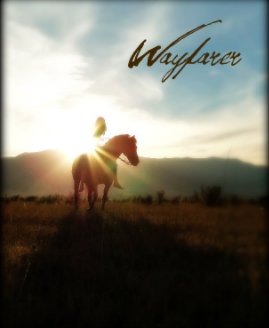 Wayfarer book cover