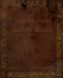 A Brief War Diary book cover