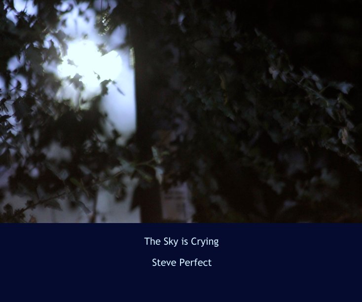 View The Sky is Crying by Steve Perfect