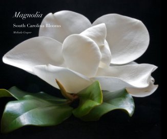 Magnolia book cover