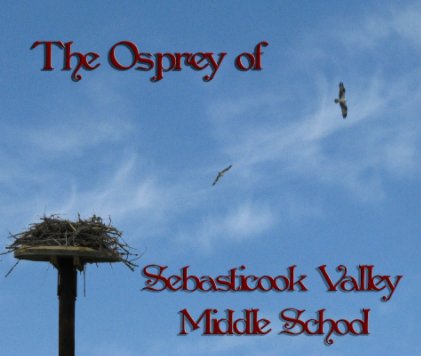 The Osprey of Sebasticook book cover