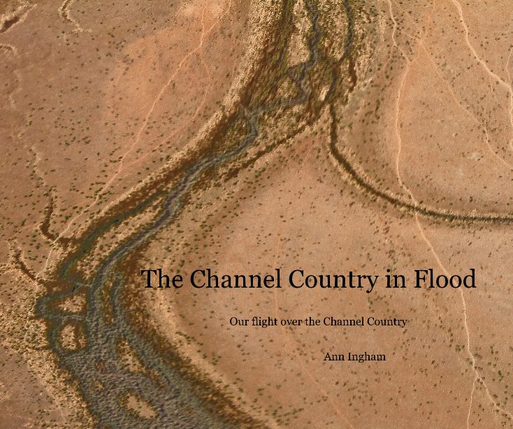 View The Channel Country in Flood by Ann Ingham