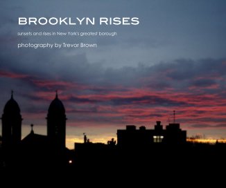 brooklyn rises book cover