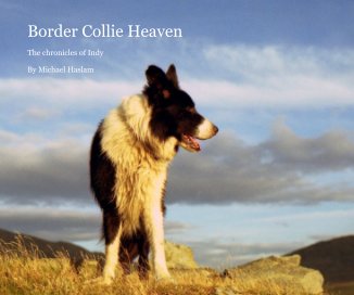Border Collie Heaven book cover