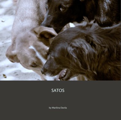 SATOS book cover