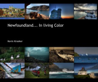 Newfoundland... In living Color book cover