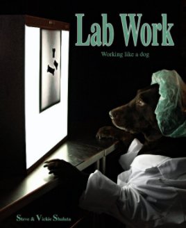 Lab Work book cover