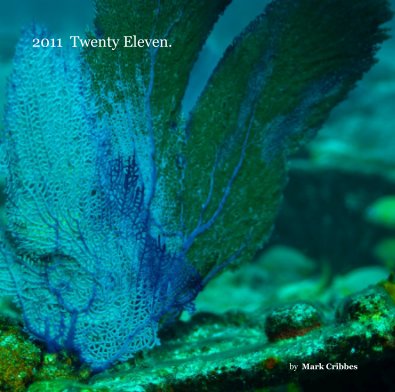 2011 Twenty Eleven. book cover