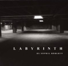 Labyrinth book cover