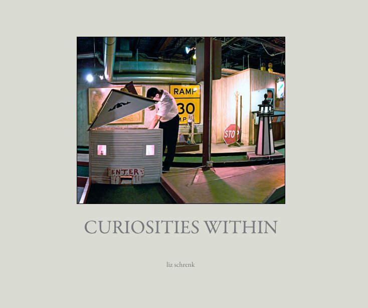 View CURIOSITIES WITHIN by liz schrenk