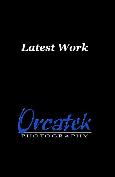 View Latest Work by Orcatek