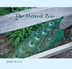 The Detroit Zoo book cover