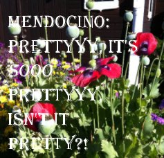 Mendocino: prettyyy, it's sooo prettyyy, isn't it pretty?! book cover