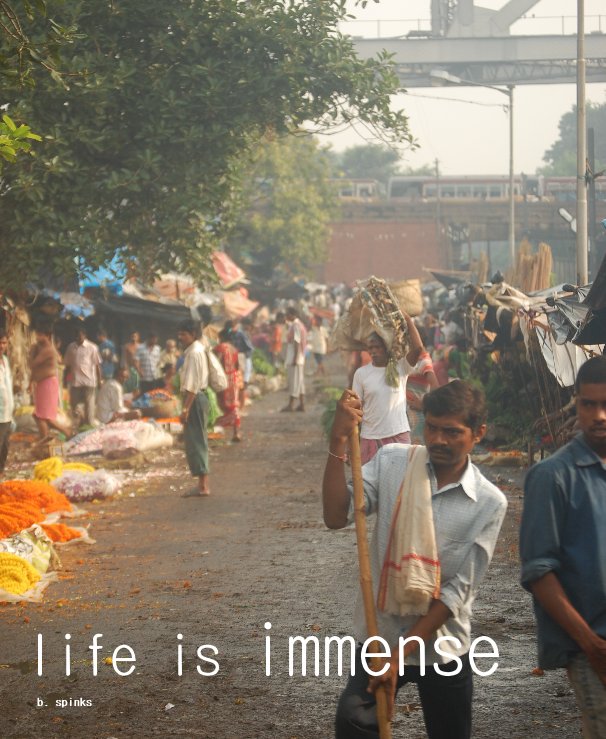 Visualizza life is immense di bert spinks
