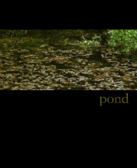 pond book cover