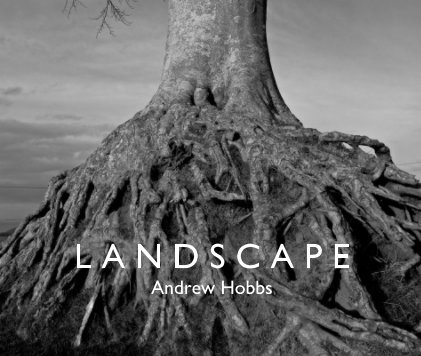 L A N D S C A P E Andrew Hobbs book cover