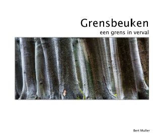 grensbeuken (standard-3) book cover