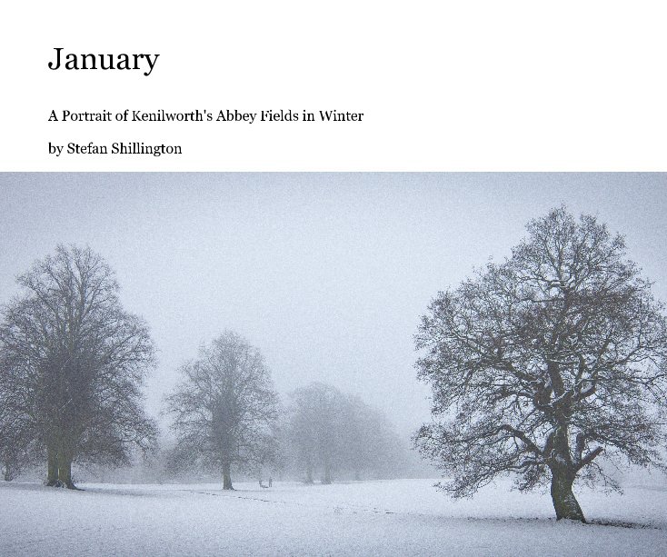 Visualizza January di Stefan Shillington