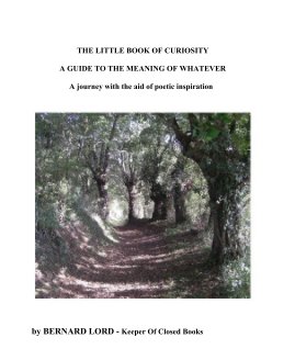 THE LITTLE BOOK OF CURIOSITY - A GUIDE TO THE MEANING OF WHATEVER book cover