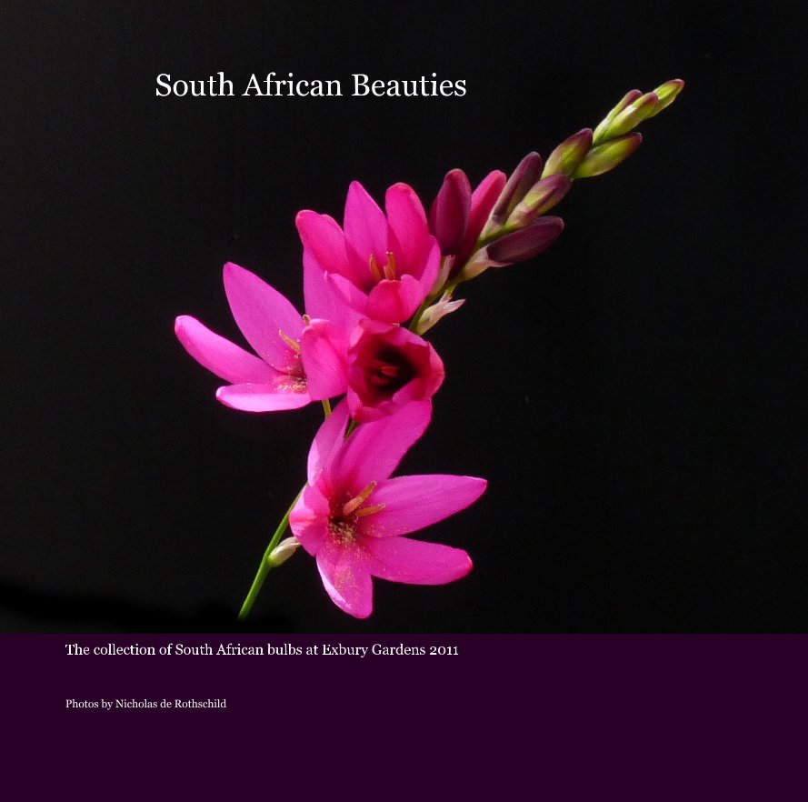 Bekijk South African Beauties op Photos by Nicholas de Rothschild