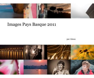 Images Pays Basque 2011 book cover