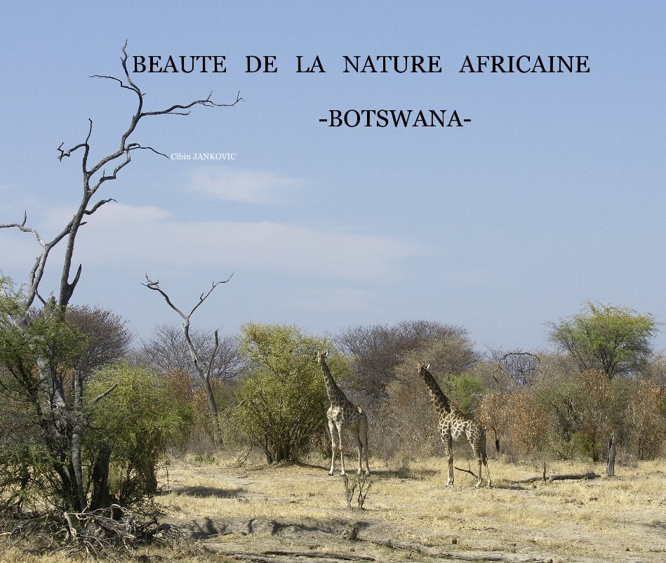 BEAUTE DE LA NATURE AFRICAINE -BOTSWANA- nach Cibin JANKOVIC anzeigen