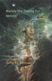 Merely the feeling for spaces book cover