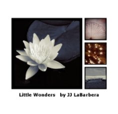 Little Wonders   by JJ LaBarbera book cover