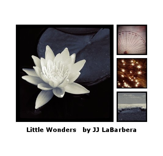 Bekijk Little Wonders   by JJ LaBarbera op JJ Labarbera