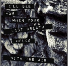 I'll See You When Your Last Breath Melds With the Air book cover