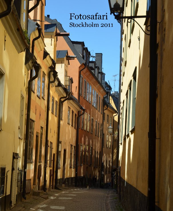 Bekijk Stockholm 2011 op Foto: Tilman D. Thulesius