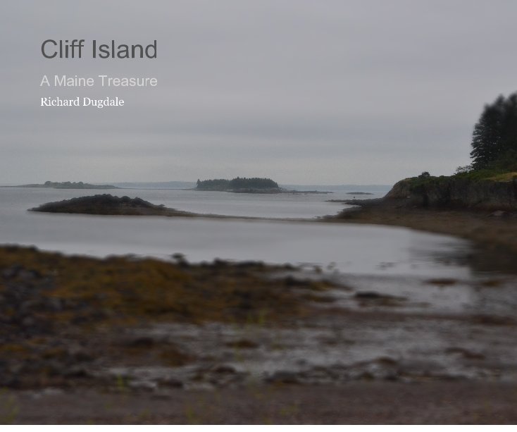 View Cliff Island by Richard Dugdale