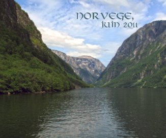 Norvege, juin 2011 book cover
