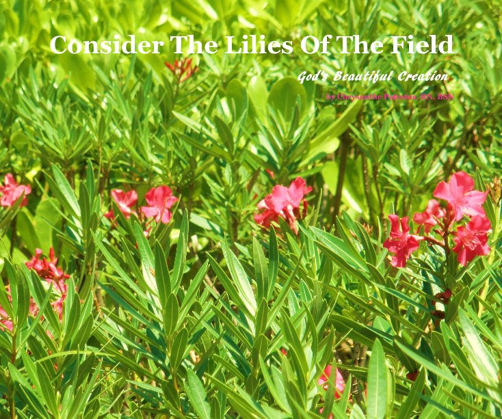 Ver Consider The Lilies Of The Field por Chrysanthe Patestos, RN, BSN
