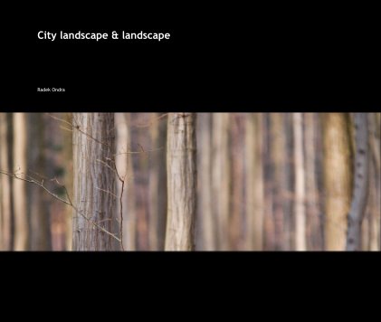 City landscape & landscape book cover
