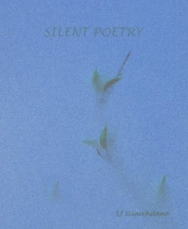 Silent Poetry book cover