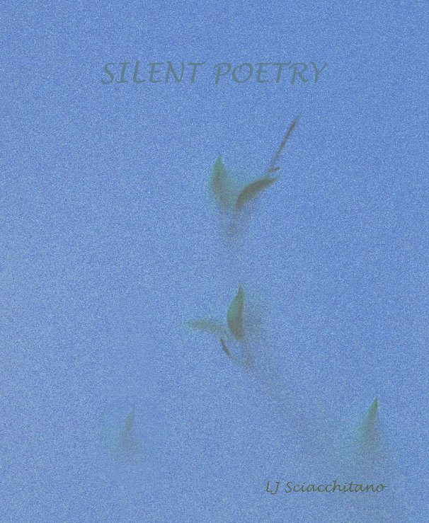 View Silent Poetry by Len Sciacchitano