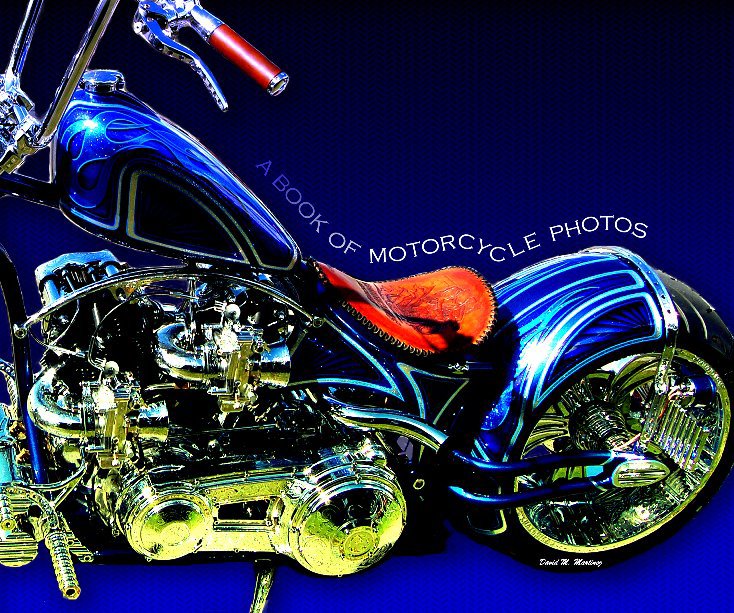 Ver A Book of Motorcycle Photos por David M. Martinez
