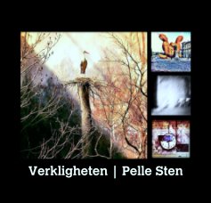 Verkligheten | Pelle Sten book cover