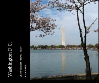 Washington D.C. book cover