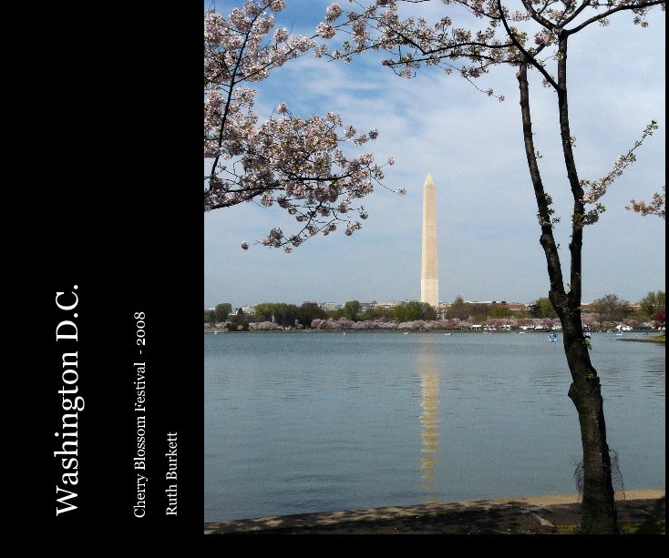 View Washington D.C. by Ruth Burkett