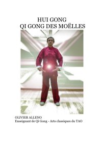 HUI GONG QI GONG DES MOËLLES book cover