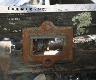 Illuminating Decay book cover