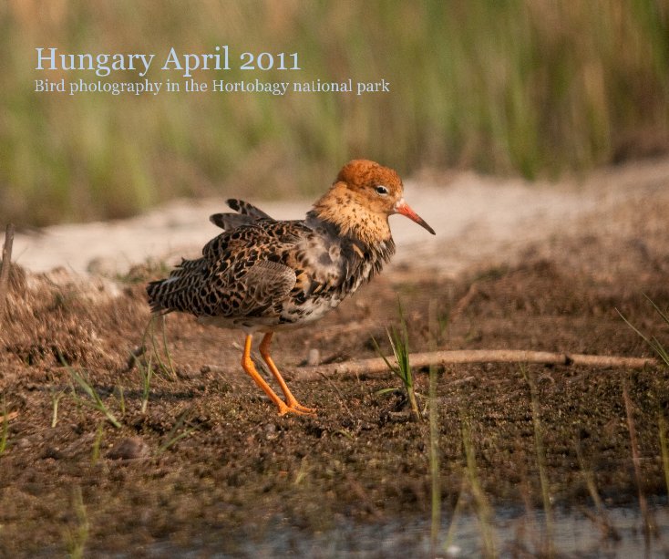 Ver Hungary April 2011 Bird photography in the Hortobagy national park por kevinoakhill